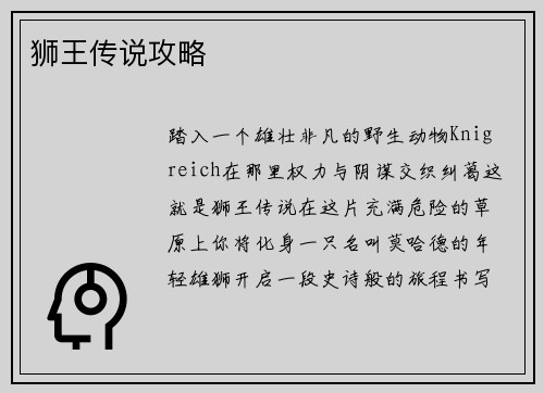 狮王传说攻略